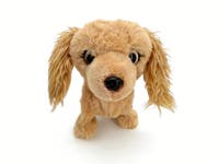 Silly Golden Interaktiv hundleke