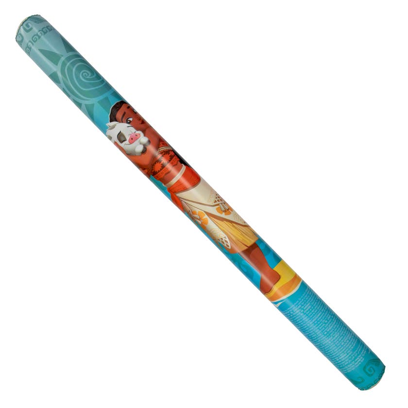 Disney Pool Noodle