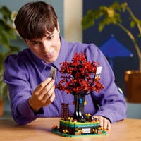 LEGO 21346, Familietre