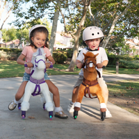 Push Pony Champ