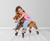 Push Pony Champ