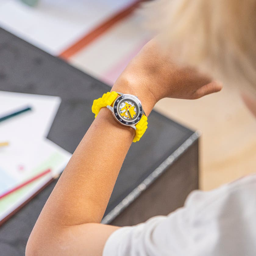 Time Teacher, Pokemon