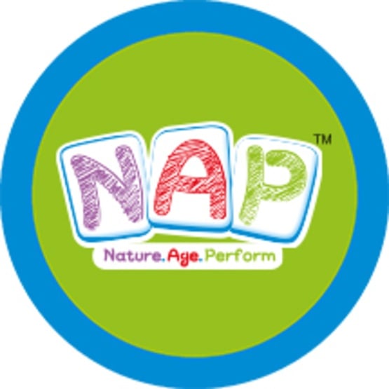NAP logotype