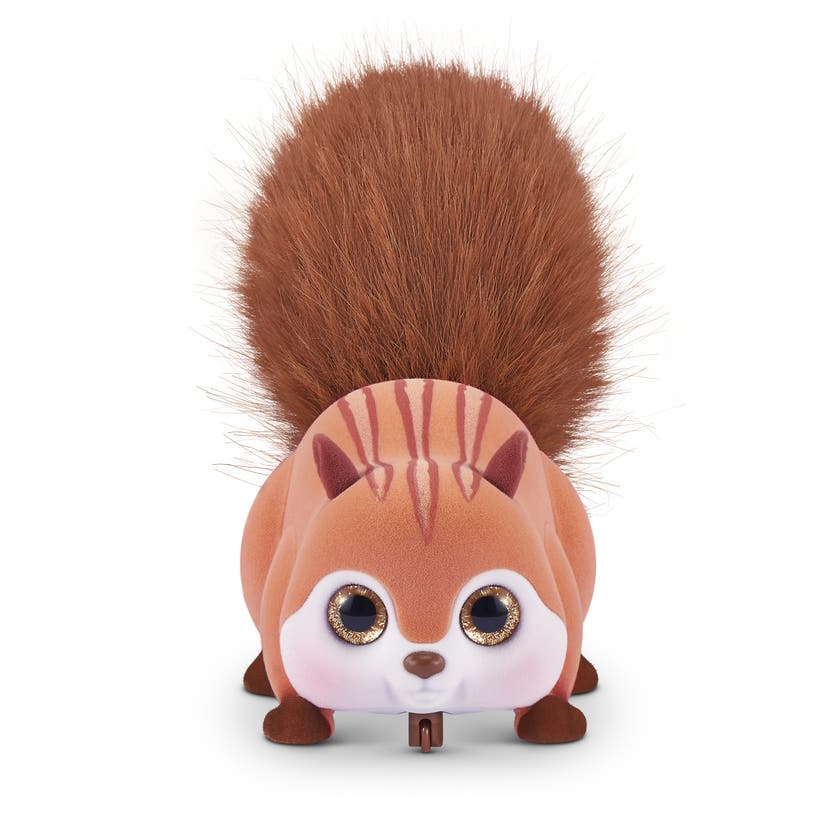 Pets Alive - Scurry And Run S1 Ekorn