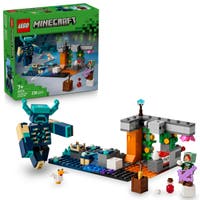 LEGO Minecraft 21274, Møtet med vokteren