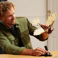 LEGO Icons 10363, Leonardo da Vincis flygemaskin