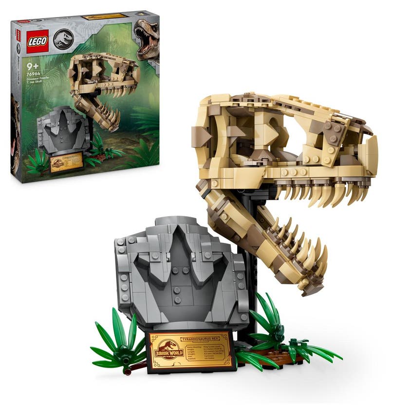 LEGO Jurassic World 76964, Dinosaurfossiler: T. rex-skalle