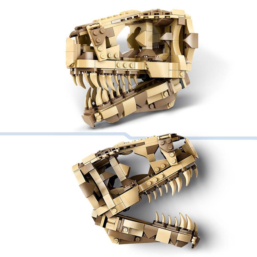LEGO Jurassic World 76964, Dinosaurfossiler: T. rex-skalle