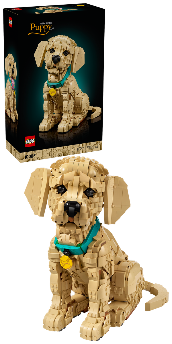 LEGO® Icons Golden retriever-valp, dyrefigur 11384