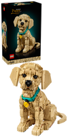 LEGO® Icons Golden retriever-valp, dyrefigur 11384