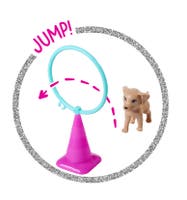 Steffi LOVE Hundetrener