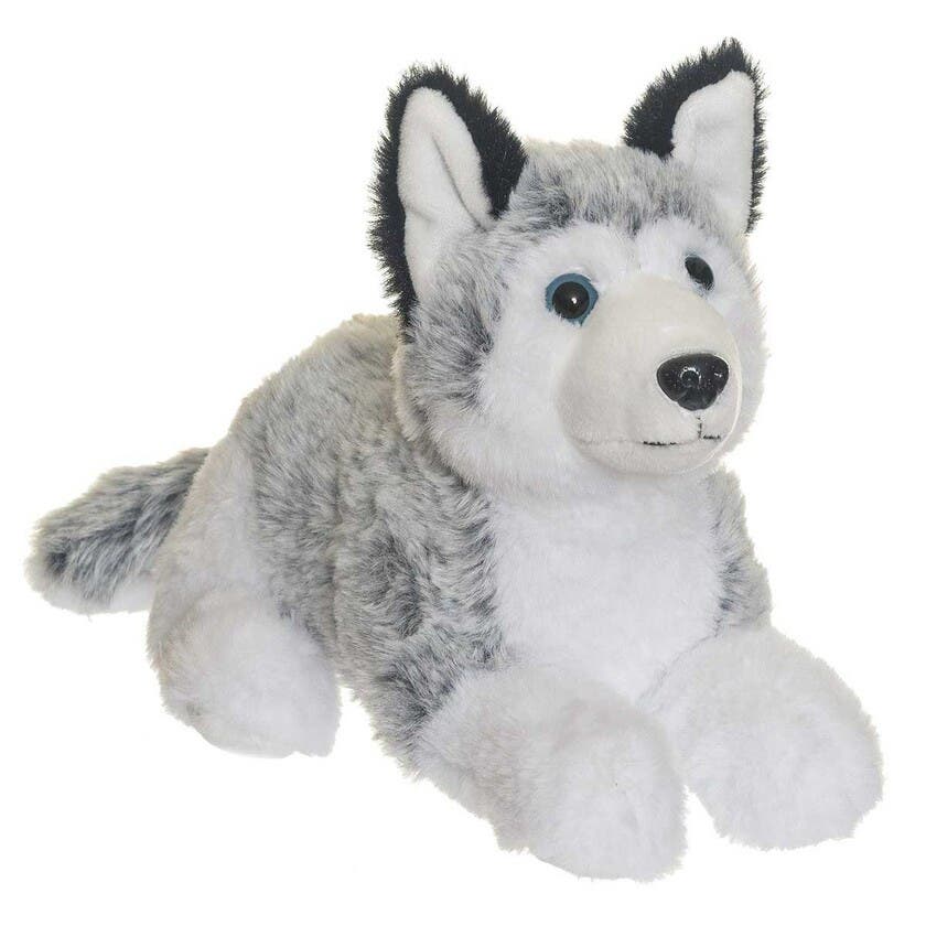 Teddykompaniet, Husky