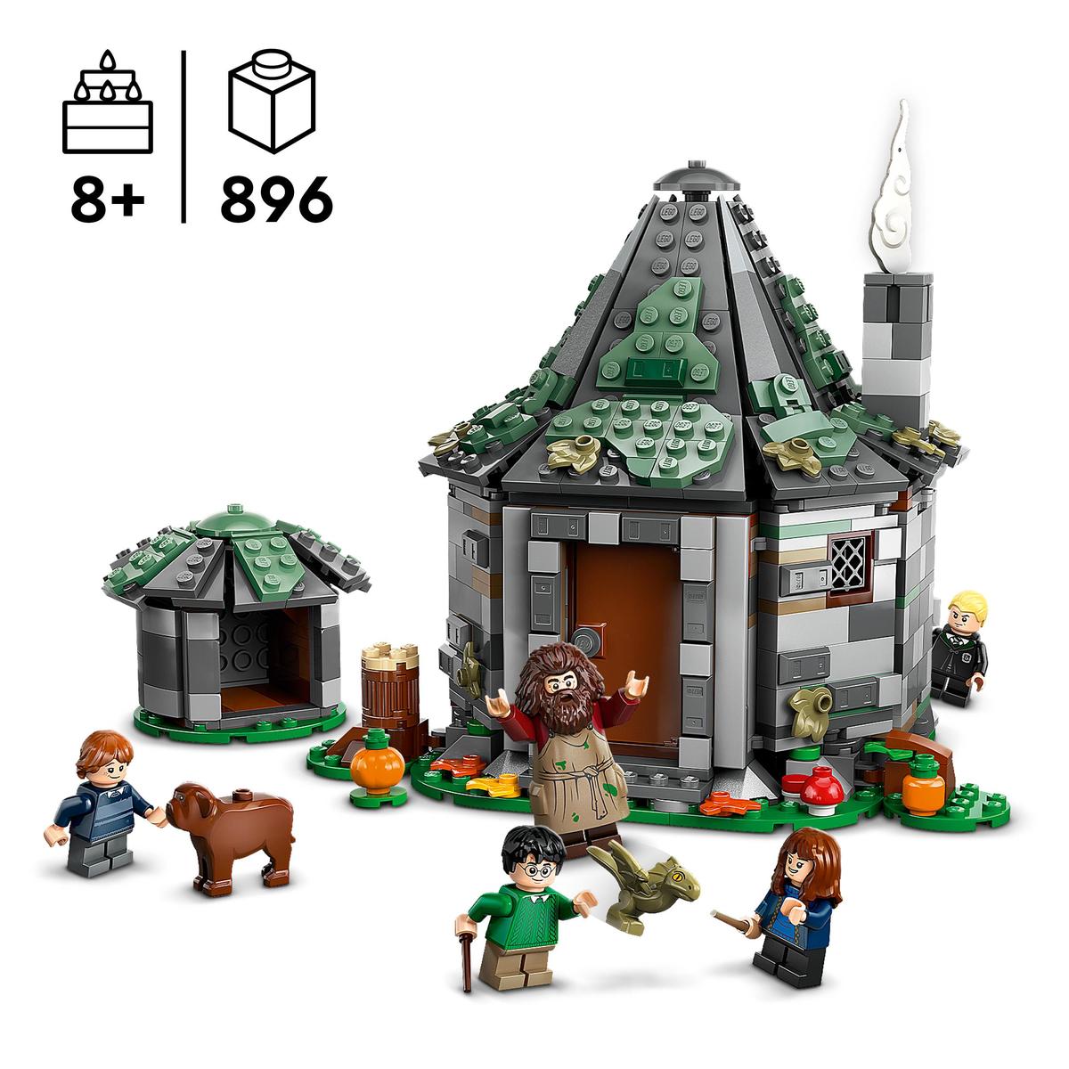 LEGO 76428, Hagrids hytte: Et uventet besøk