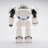 Hi-Tech, IR-kontroll Stor Robot
