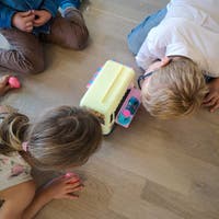 Forest Dreamland, Kanin med Isbil