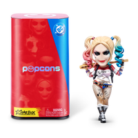 Star Box - Popcons WB DC Heroes & Villians Blind Box