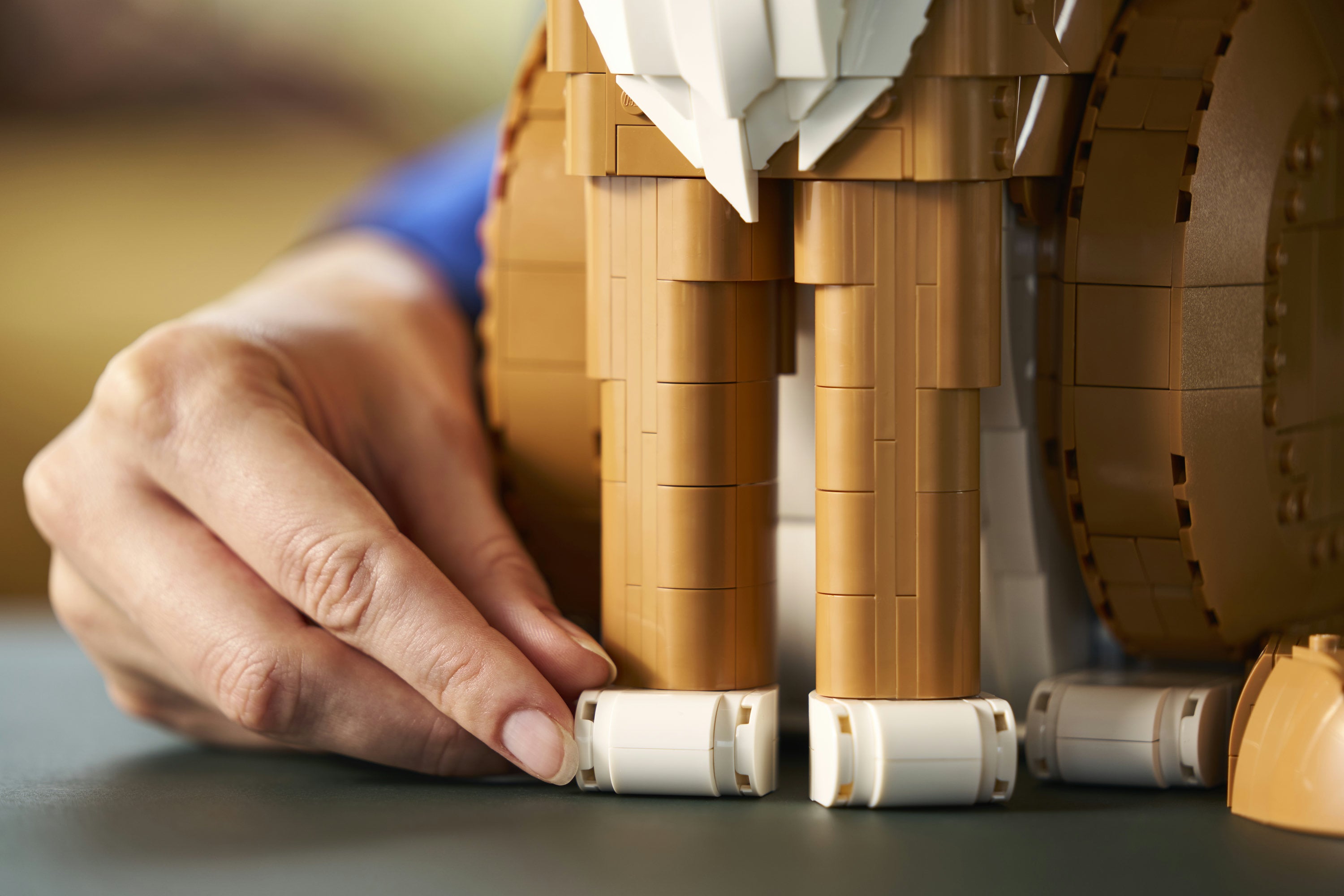 LEGO® Ideas Oransje katt, byggbar dyrefigur 21376