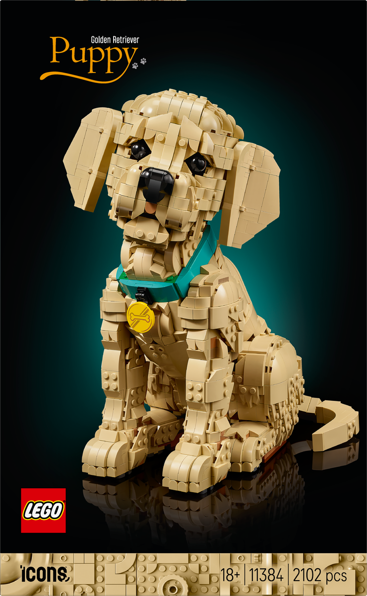 LEGO® Icons Golden retriever-valp, dyrefigur 11384