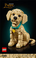 LEGO® Icons Golden retriever-valp, dyrefigur 11384
