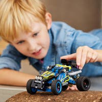 LEGO Technic 42164, Terrengracerebuggy