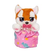 Baby Paws, Mini, Shibainu
