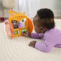 Fisher Price Pets Crawl & Play Speil