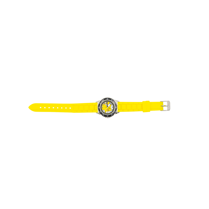 Time Teacher, Pokemon
