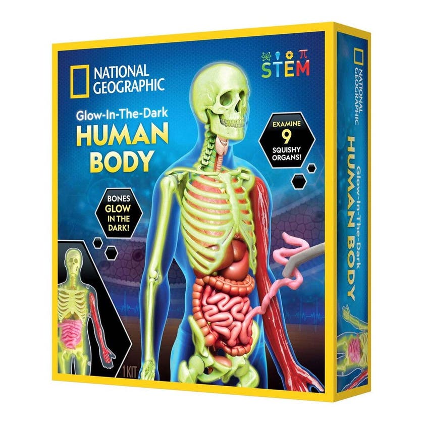 National Geographic, Human Body Science Kit