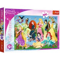 Trefl puslespill Charming Princesses 100 biter