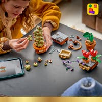 LEGO® Harry Potter™ Urtologiplanter på Galtvort. Byggesett 76474
