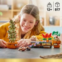 LEGO® Harry Potter™ Urtologiplanter på Galtvort. Byggesett 76474