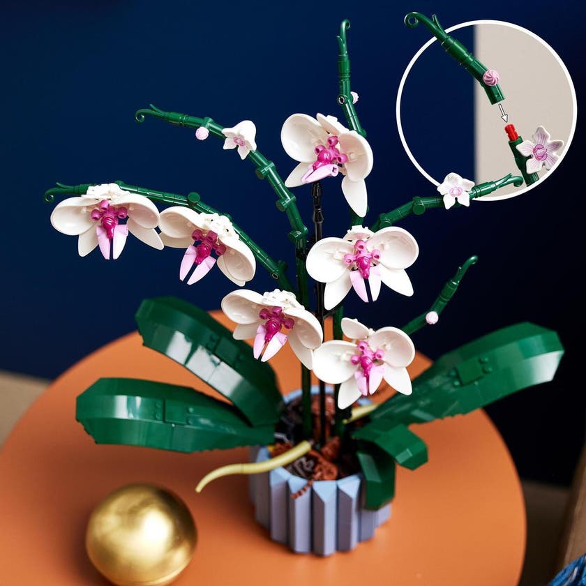 LEGO Botanicals 10311, Orchidée