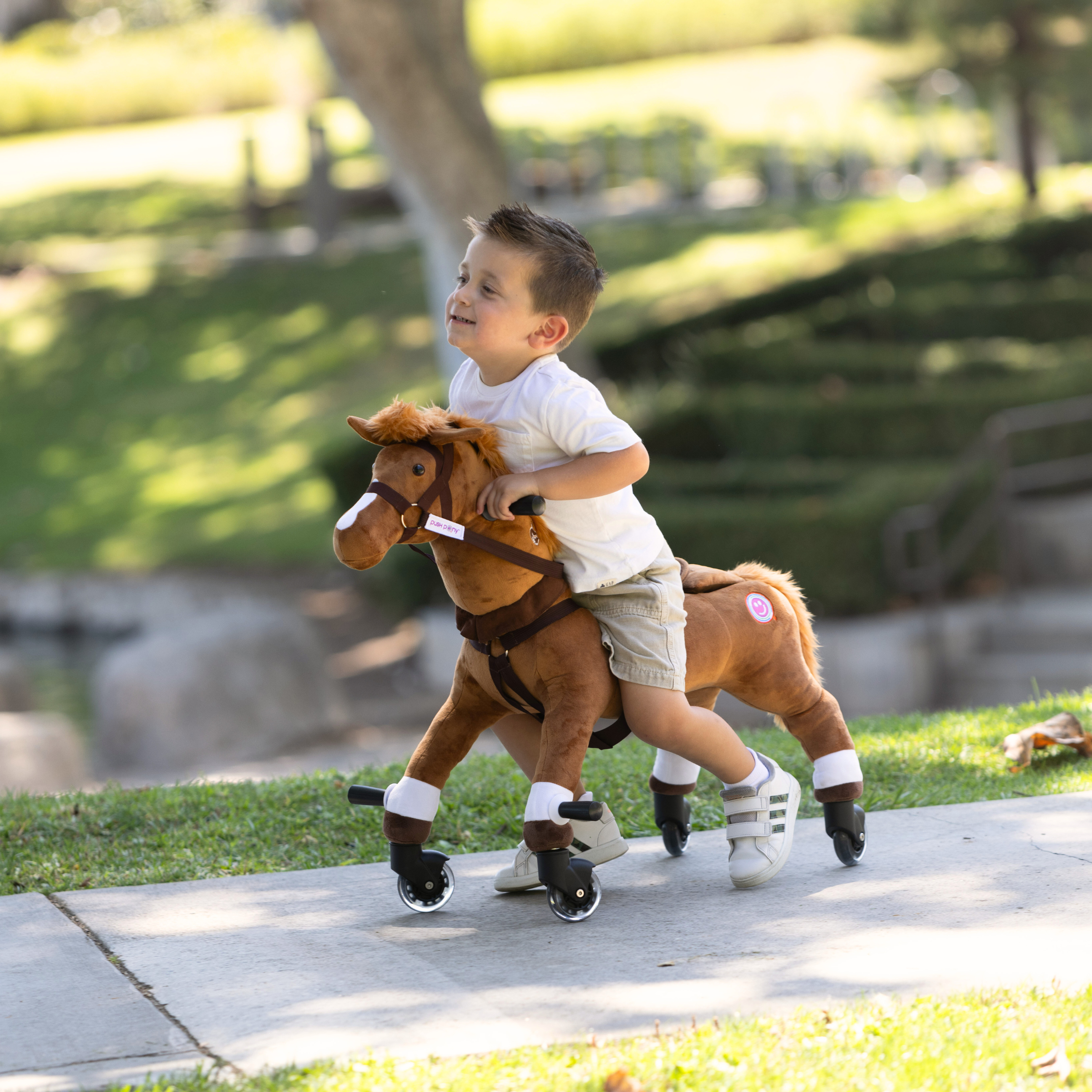Push Pony Champ