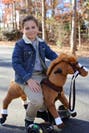 Power Pony Champ lekepony
