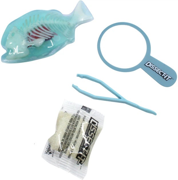 Sensory Compounds Dissect-It Piranja