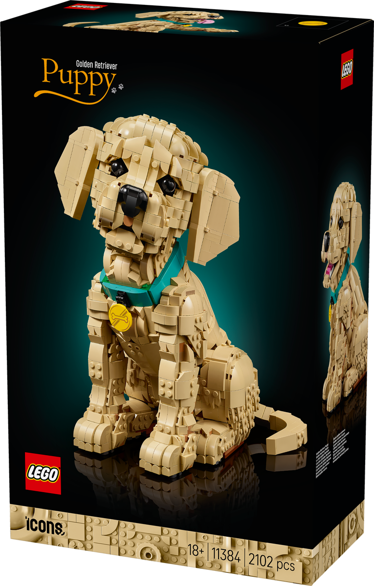 LEGO® Icons Golden retriever-valp, dyrefigur 11384