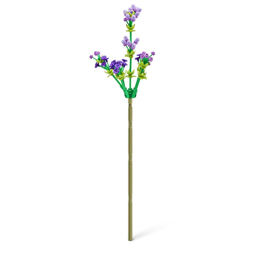 ZURU Max, Rose Collection-Serie 1