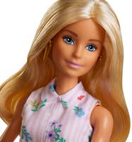 Barbie Fashionista Doll Asst.