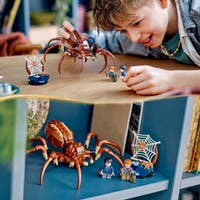 LEGO Harry Potter 76434, Aragog i den forbudte skogen