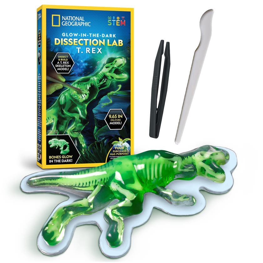National Geographic Glow-In-The-Dark T. Rex
