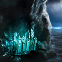 Discovery - Growing kit