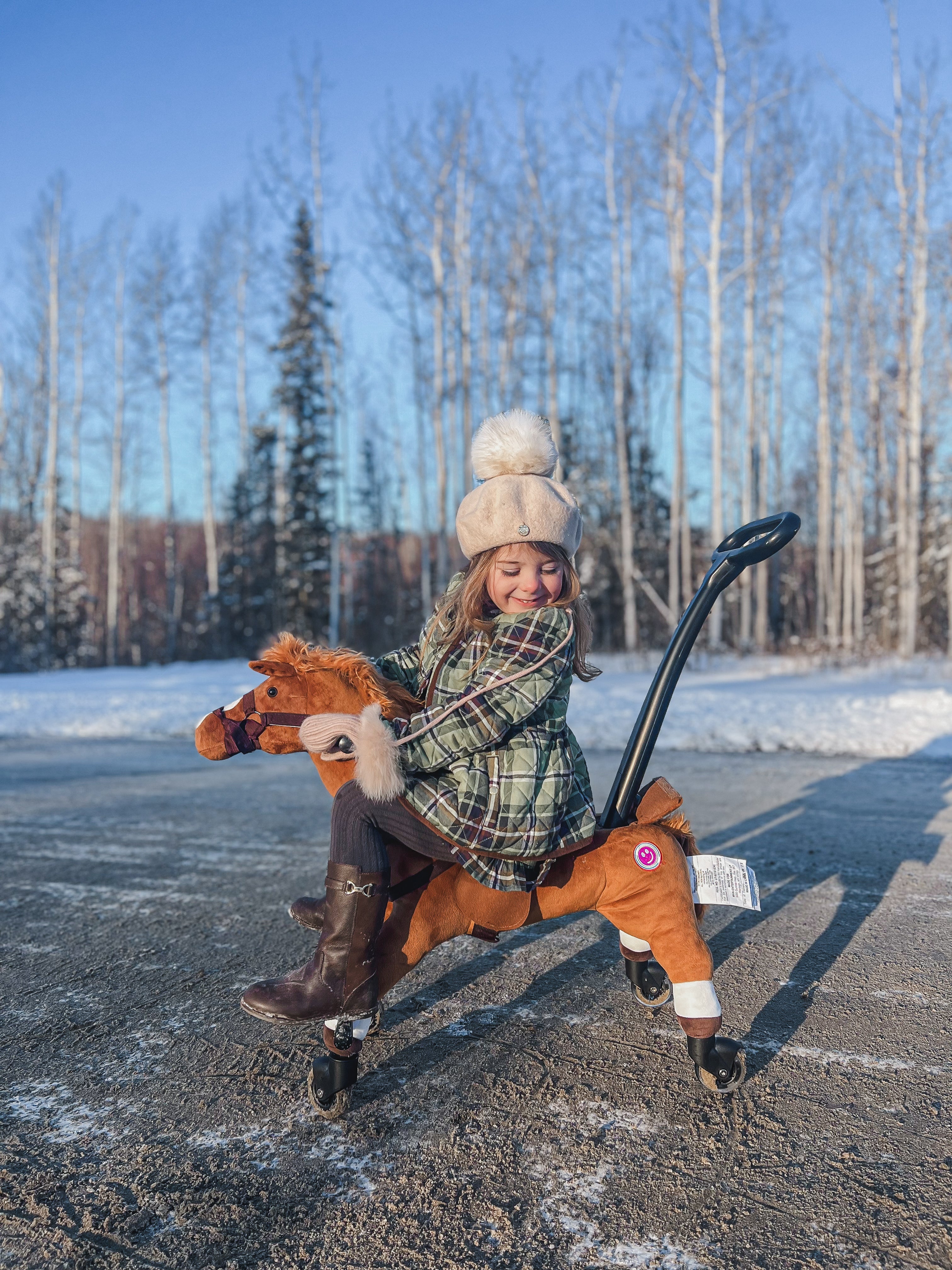 Push Pony Champ