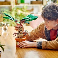 LEGO Harry Potter 76433, Mandragora