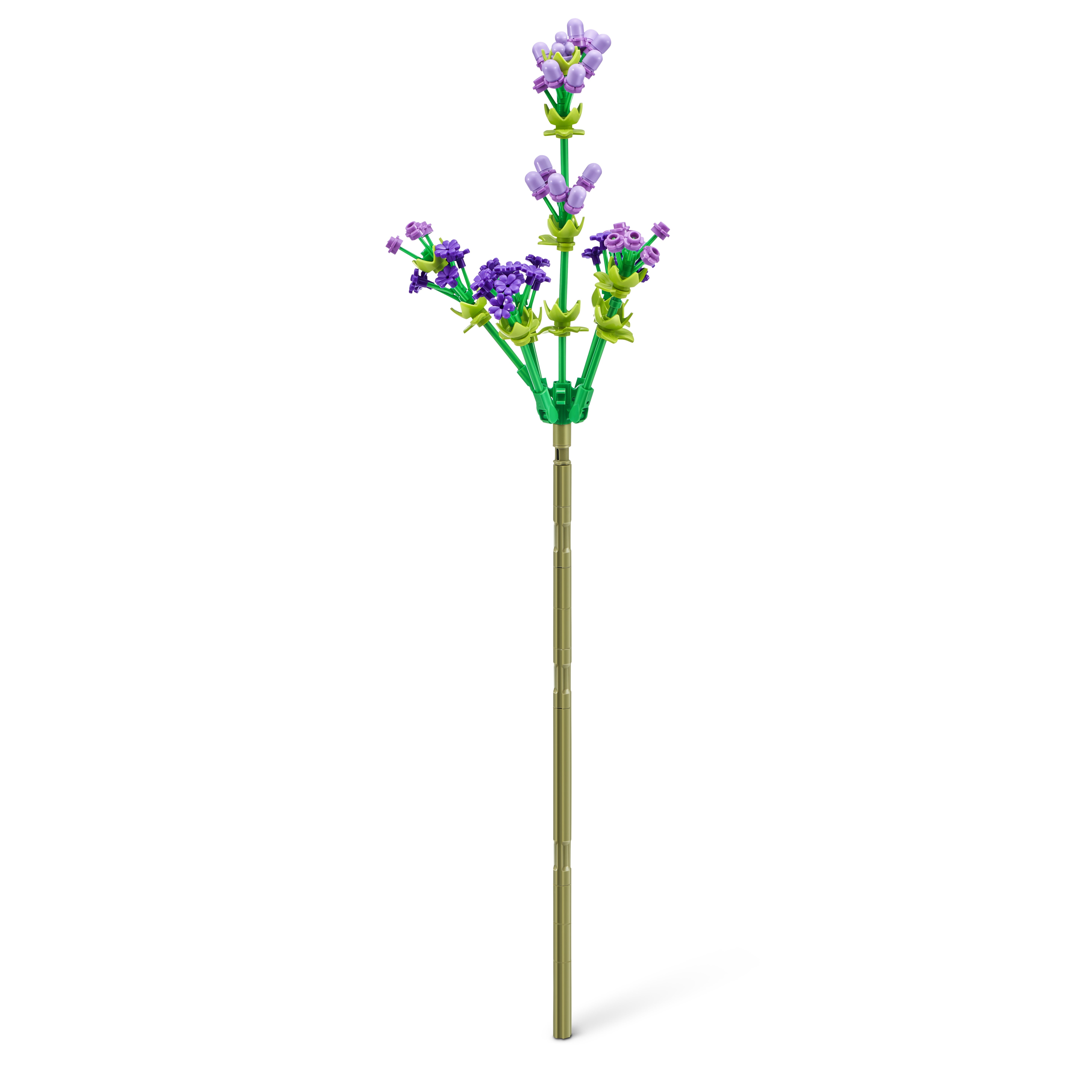 ZURU Max, Rose Collection-Serie 1