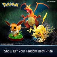 4D Build Pokémon Charizard 3D-modellsats 223 deler