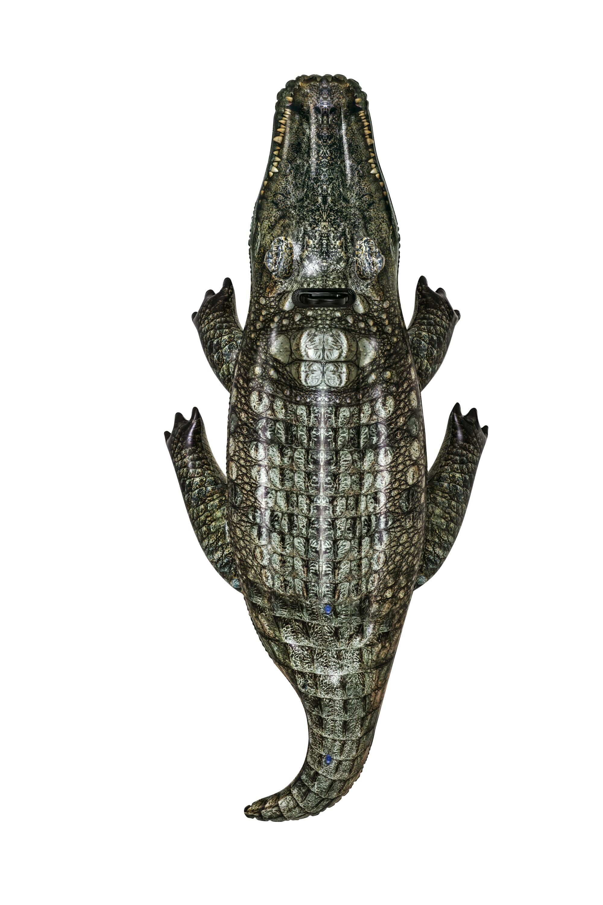 Bestway, 1,93M X 94Cm Realistisk Reptil Ride On