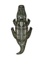 Bestway, 1,93M X 94Cm Realistisk Reptil Ride On