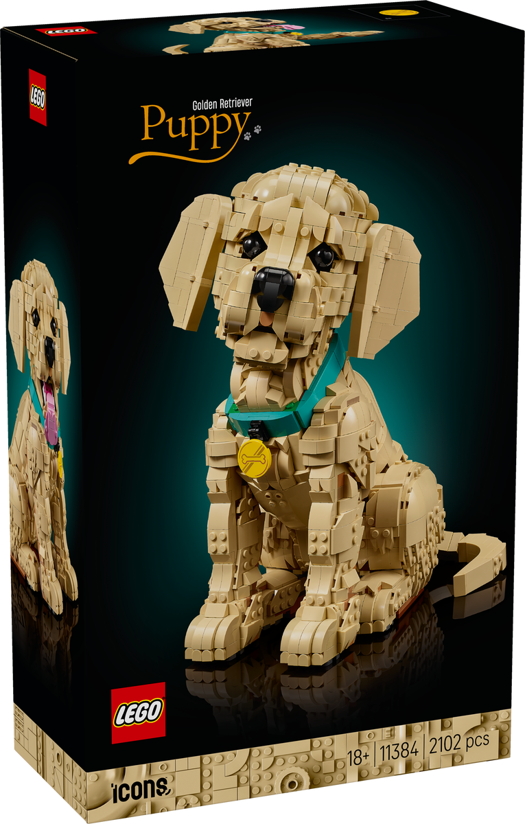 LEGO® Icons Golden retriever-valp, dyrefigur 11384