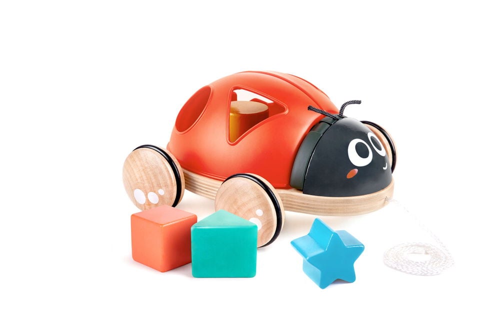 Hape, Shape Sorter marihøne