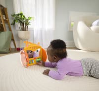 Fisher Price Pets Crawl & Play Speil